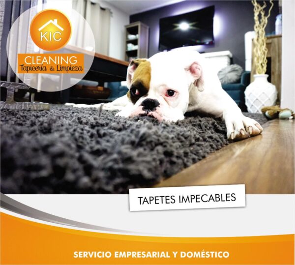KIC CLEANING TAPICERIA, LIMPIEZA & DESINFECCION